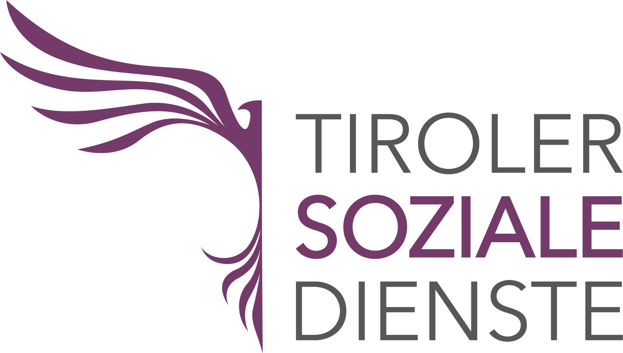 Tiroler Soziale Dienste